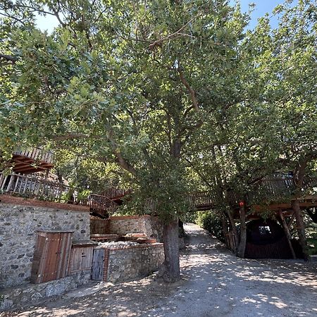 מסינה B & B Le Casette Sull'Albero Di Villa Alba מראה חיצוני תמונה