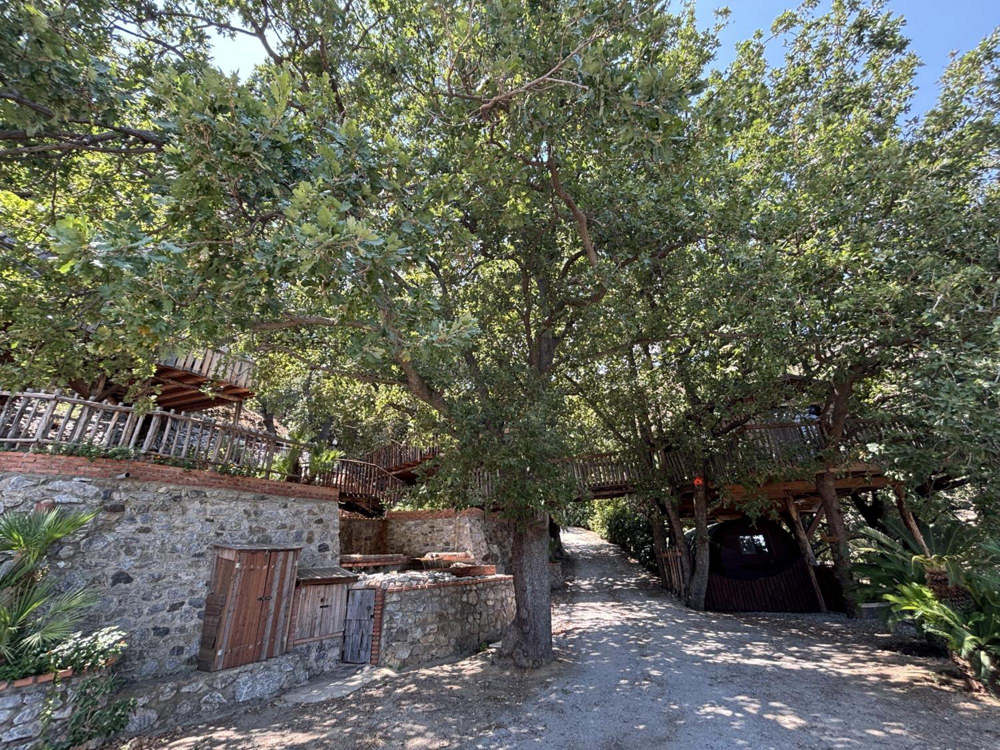 מסינה B & B Le Casette Sull'Albero Di Villa Alba מראה חיצוני תמונה